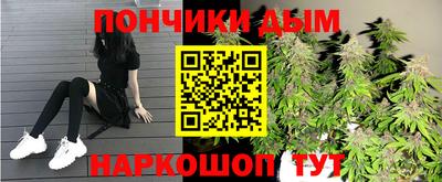 прущие грибы Краснознаменск